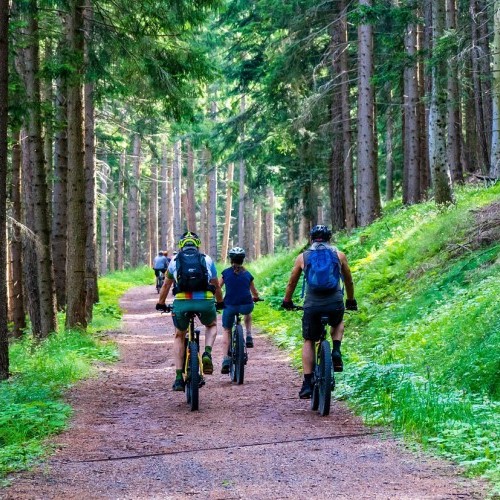 Wycieczka MTB e-bike z przewodnikiem